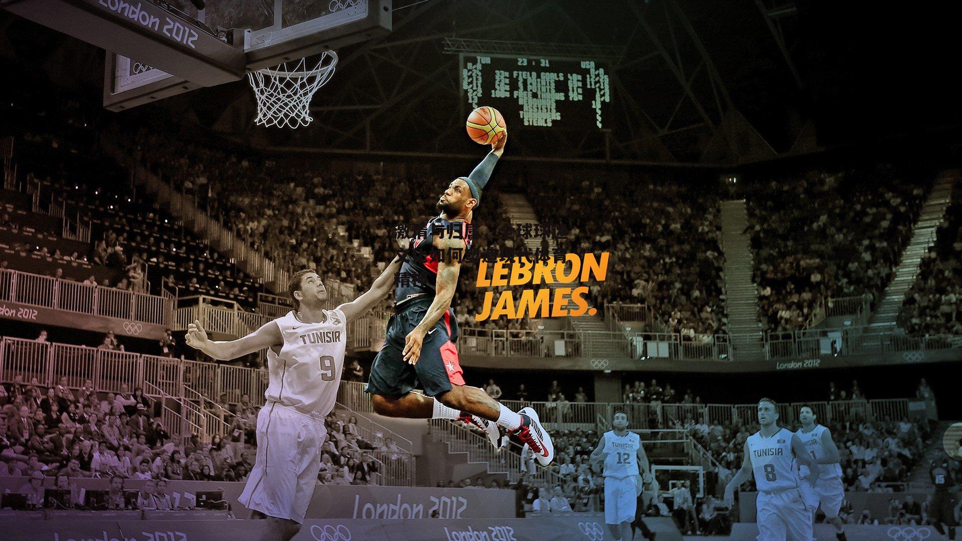 激情与归属，全球球迷文化如何塑造现代体育精神